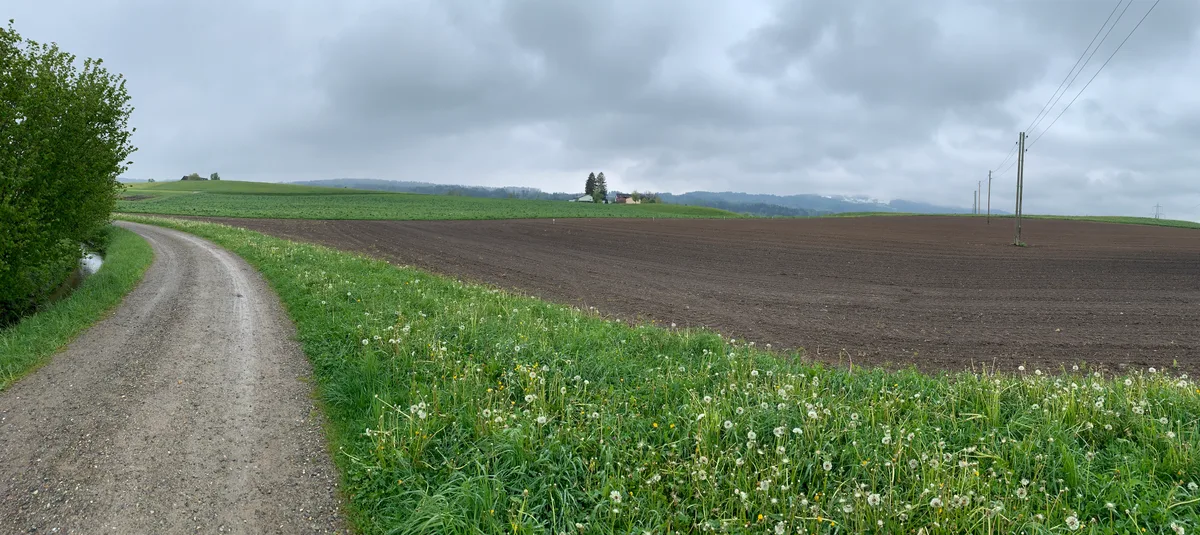 Ein grosser Acker wird von einer Stromleitung durchquert.